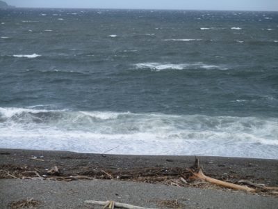 風の強かった今日の海は、あちこちで白波が立つような海でした。